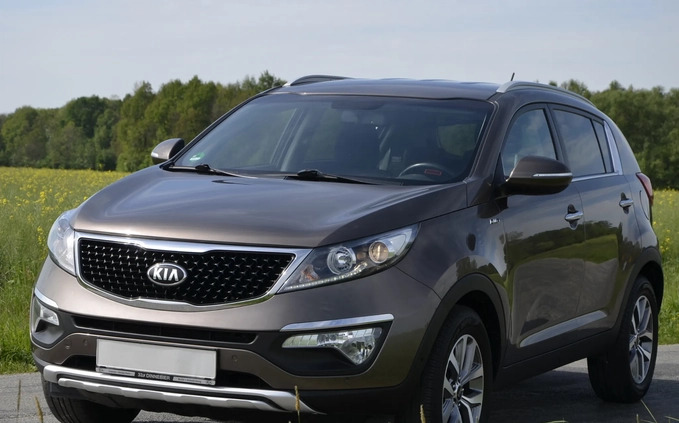 Kia Sportage cena 62500 przebieg: 89801, rok produkcji 2015 z Sompolno małe 781